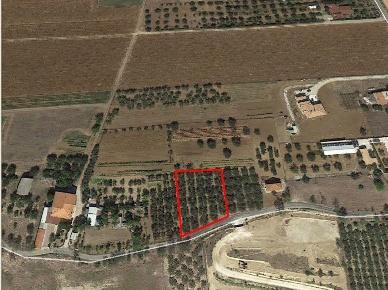 Foto Terreno edificabile a Cepagatti di 3214 m² in vendita