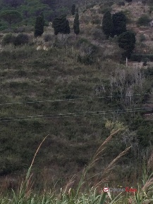 Foto Terreno edificabile a Messina Acqualadrone - Spartà di 2700 m²