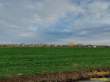 Foto Terreno in VIA MARTIRI DELLA LIBERAZIONE, Parma Vicofertile in vendita