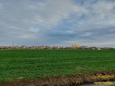 Foto Terreno in VIA MARTIRI DELLA LIBERAZIONE, Parma Vicofertile in vendita