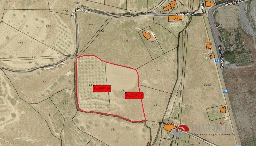 Foto Terreno edificabile a Melito di Porto Salvo di 12470 m² in vendita