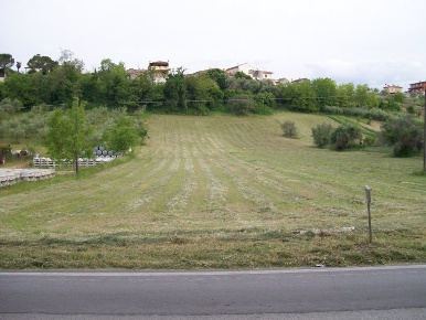 Foto Terreno edificabile a Rosciano di 2630 m² in vendita