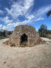 Foto Terreno agricolo in Contrada SANTA TERESA 1, Sannicola di 5030 m²