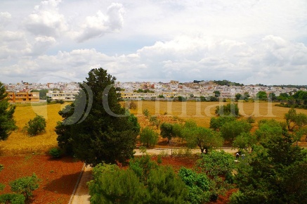 Foto Terreno agricolo in Via Sferracavalli snc, Sannicola Centro in vendita
