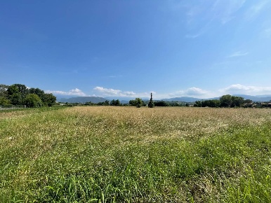 Foto Terreno industriale in VIA guido mattiussi, Reana del Rojale