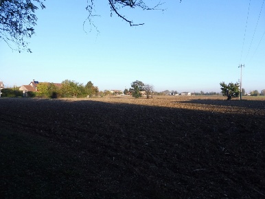 Foto Terreno agricolo a Schiavon Centro di 4200 m² in vendita