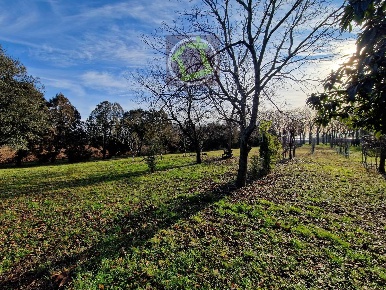 Foto Terreno agricolo a Cordenons di 2680 m² in vendita
