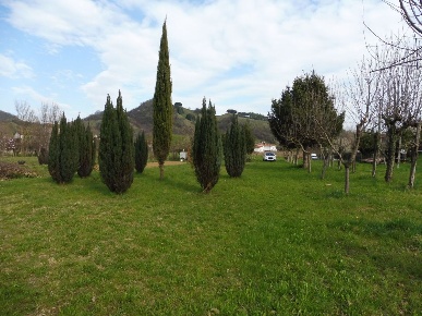 Foto Terreno agricolo in Consagrollo, Marostica Centro di 4225 m²
