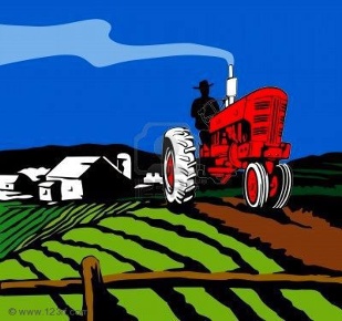 Foto Terreno agricolo in Via PANARELLA Via Panarella 0, Papozze Panarella