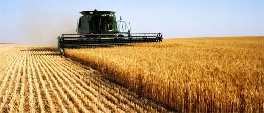 Foto Terreno agricolo a Correzzola di 39500 m² in vendita