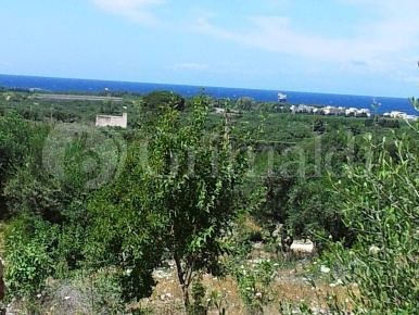 Foto Terreno agricolo in Contrada Doganieri snc, Sannicola di 9000 m²