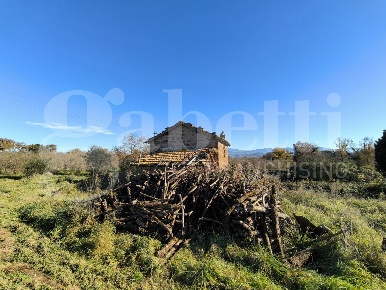 Foto Terreno agricolo in LocalitÃ  Boccalaro snc, Gallese di 42500 m²
