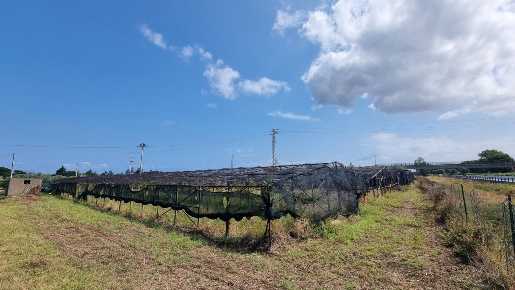 Foto Terreno agricolo in Contrada brigandÃ¬ snc, Milazzo di 7630 m²