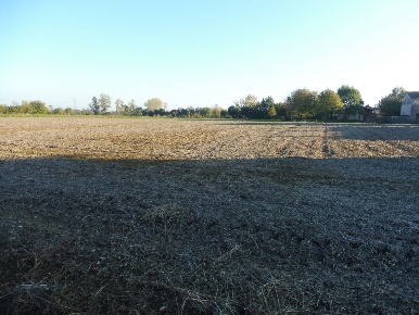 Foto Terreno agricolo in Via Bosco 8, Villaverla di 4950 m² in vendita