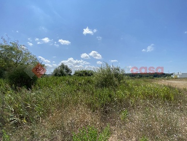 Foto Terreno residenziale a Collesalvetti Guasticce di 40000 m² in vendita