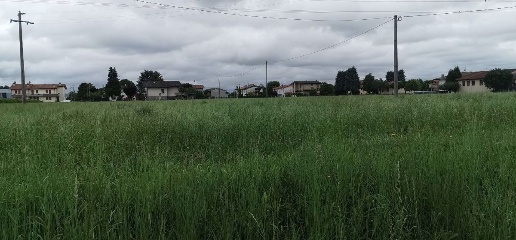 Foto Terreno residenziale a Schiavon Santa Corona di 1300 m² in vendita