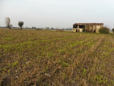 Foto Terreno agricolo in Via Boghignolo 10, Agugliaro Centro di 13500 m²