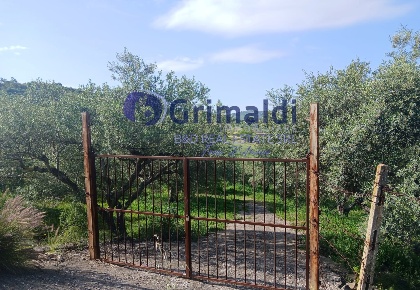 Foto Terreno agricolo in Contrada Porcarella 00, Bagheria Consona