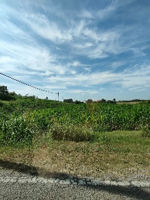 Foto Terreno agricolo in Via CORBOLA Via Roma 0, Corbola di 5977 m²