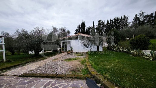 Foto Terreno residenziale in pelagone, Gavorrano in vendita