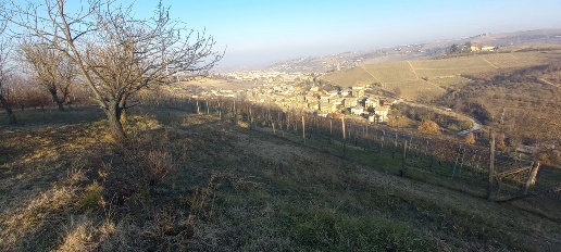 Foto Terreno agricolo in LocalitÃ  Rivoli 14, Alba Santa Rosalia in vendita