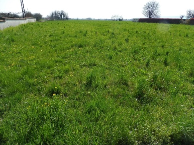 Foto Terreno agricolo in Via Riello 0, Colceresa di 5470 m² in vendita