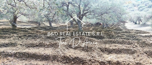 Foto Terreno agricolo in Contrada Porcara 00, Bagheria Consona di 2800 m²
