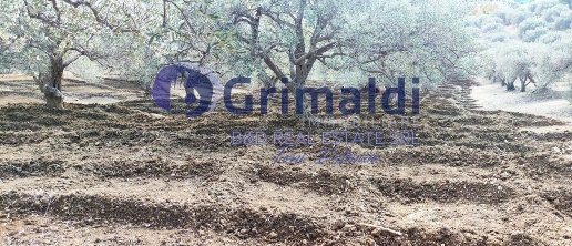 Foto Terreno agricolo in Contrada Porcara 00, Bagheria Consona di 2800 m²