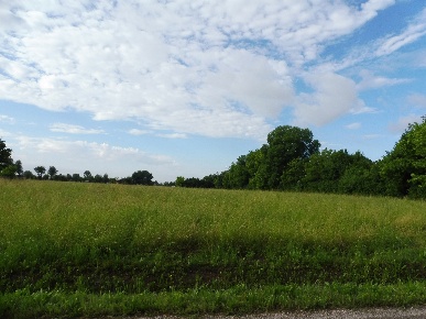 Foto Terreno residenziale a Marostica San Vito di 3600 m² in vendita