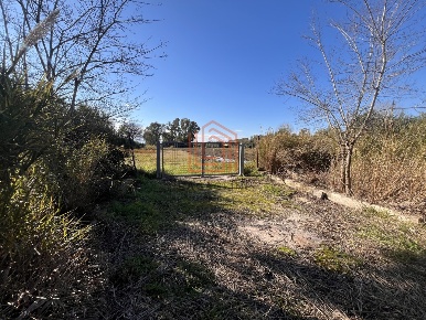 Foto Terreno agricolo in Via Albanese snc, Latina Nascosa di 1194 m²