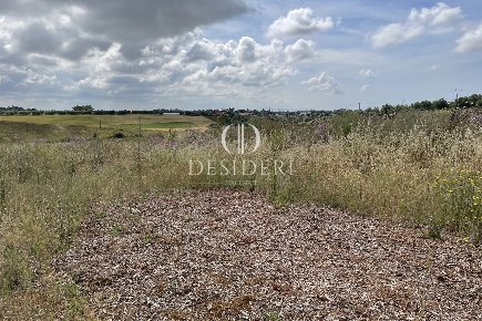 Foto Terreno agricolo in via Querciolaie, Montalto di Castro Centro