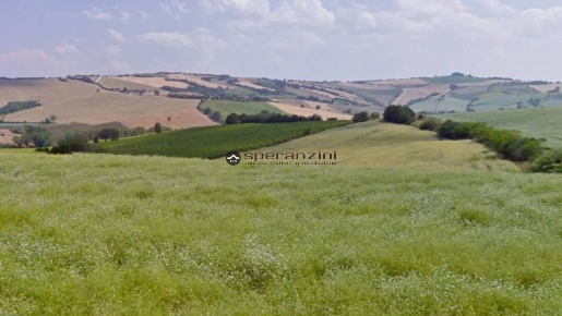 Foto Terreno agricolo in strada vencareto, San Costanzo in vendita