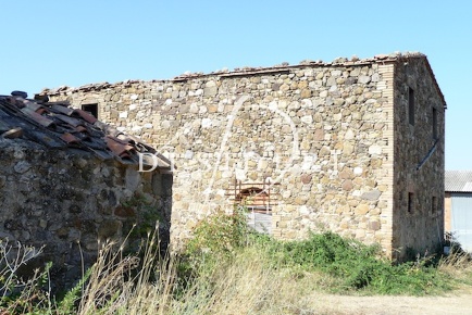 Foto Terreno agricolo a Cinigiano in vendita