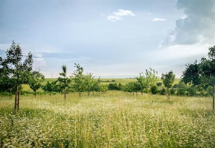 Foto Terreno edificabile in Viale Fiume, Viterbo di 4200 m² in vendita