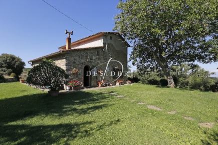 Foto Terreno agricolo in Località Case Sparse Fonte Bambina, Scansano