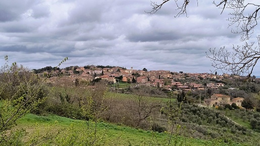 Foto Terreno edificabile a Murlo di 400 m² in vendita