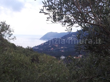 Foto Terreno agricolo a Alassio di 2620 m² in vendita