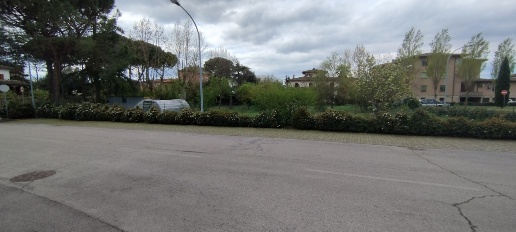 Foto Terreno edificabile a Sinalunga di 1200 m² in vendita