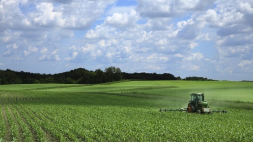 Foto Terreno agricolo in Strada comunale madonna degli angeli, Fano