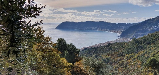 Foto Terreno edificabile a Alassio di 2000 m² in vendita