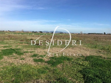 Foto Terreno edificabile a Grosseto La Principina di 2600 m² in vendita