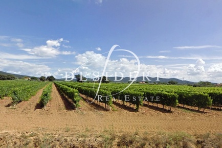 Foto Terreno agricolo a Castiglione della Pescaia Tirli, Vetulonia, Buriano