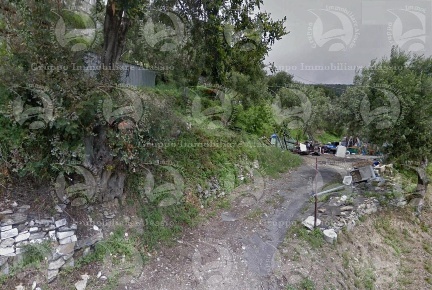 Foto Terreno agricolo a Alassio di 2250 m² in vendita