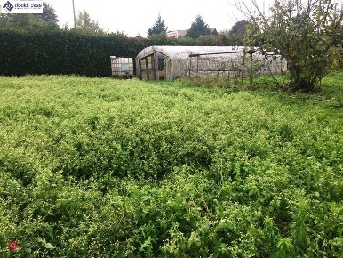 Foto Terreno agricolo in VIA ALCIDE DE GASPERI, Giussano Centro di 2000 m²