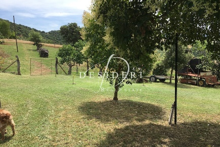 Foto Terreno agricolo in Località Podere Santa Giovanna D'Arco, Cinigiano