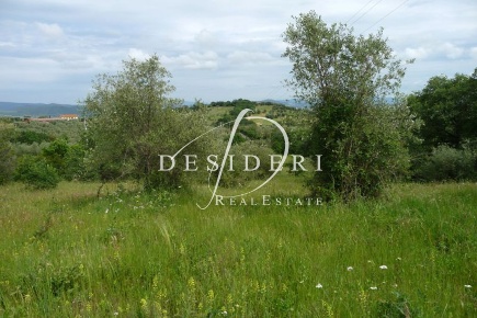 Foto Terreno agricolo a Castiglione della Pescaia Tirli, Vetulonia, Buriano