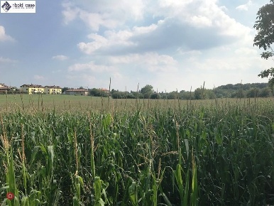 Foto Terreno agricolo in VIA TOTI, Lesmo di 5310 m² in vendita