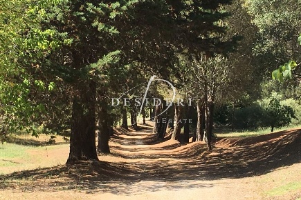 Foto Terreno agricolo a Magliano in Toscana di 180 m² in vendita