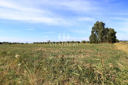 Foto Terreno agricolo a Grosseto di 45000 m² in vendita