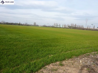 Foto Terreno agricolo in VIA MADONNINA, Varedo di 700 m² in vendita